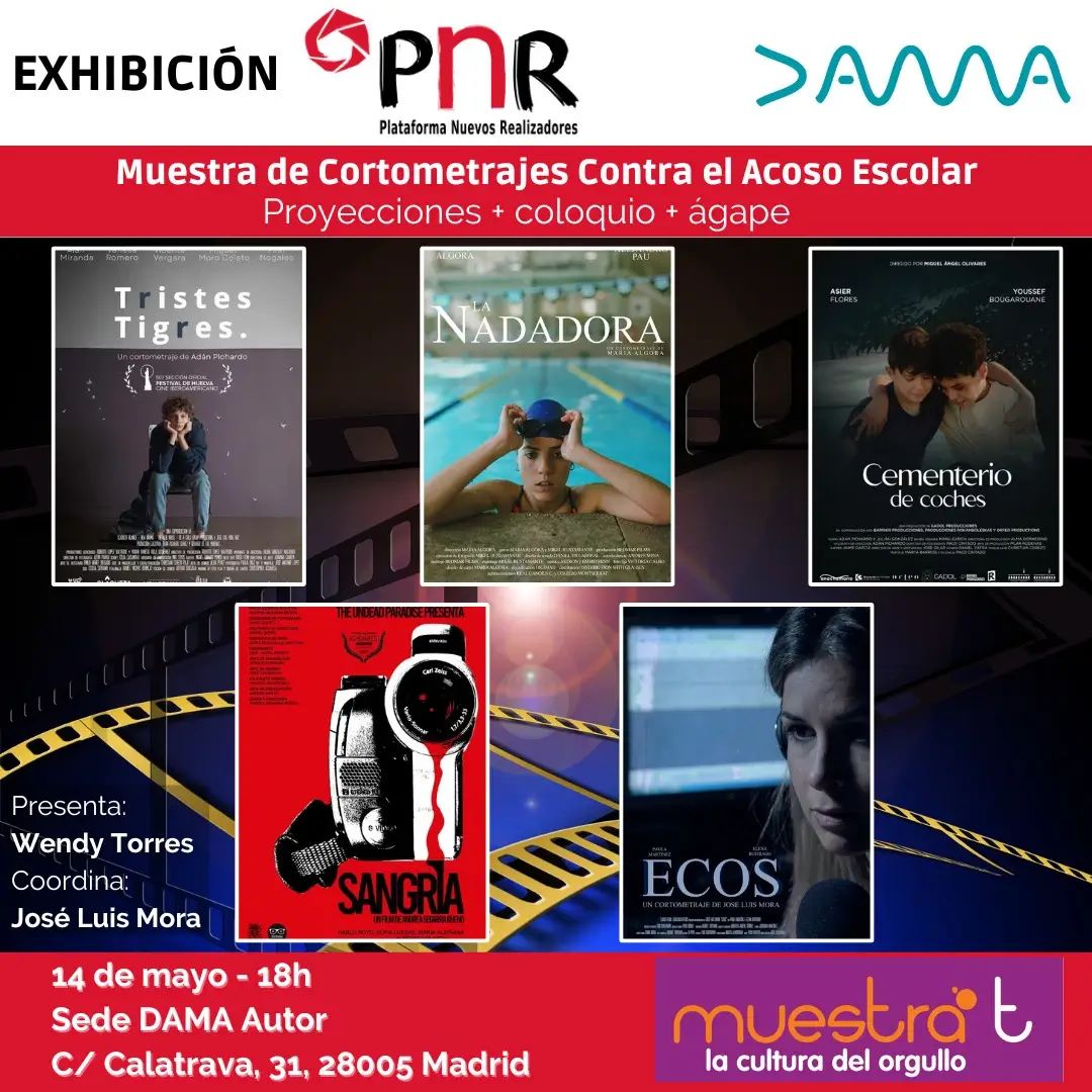 CINCO VISIONES PARA MIRAR DE FRENTE AL ACOSO